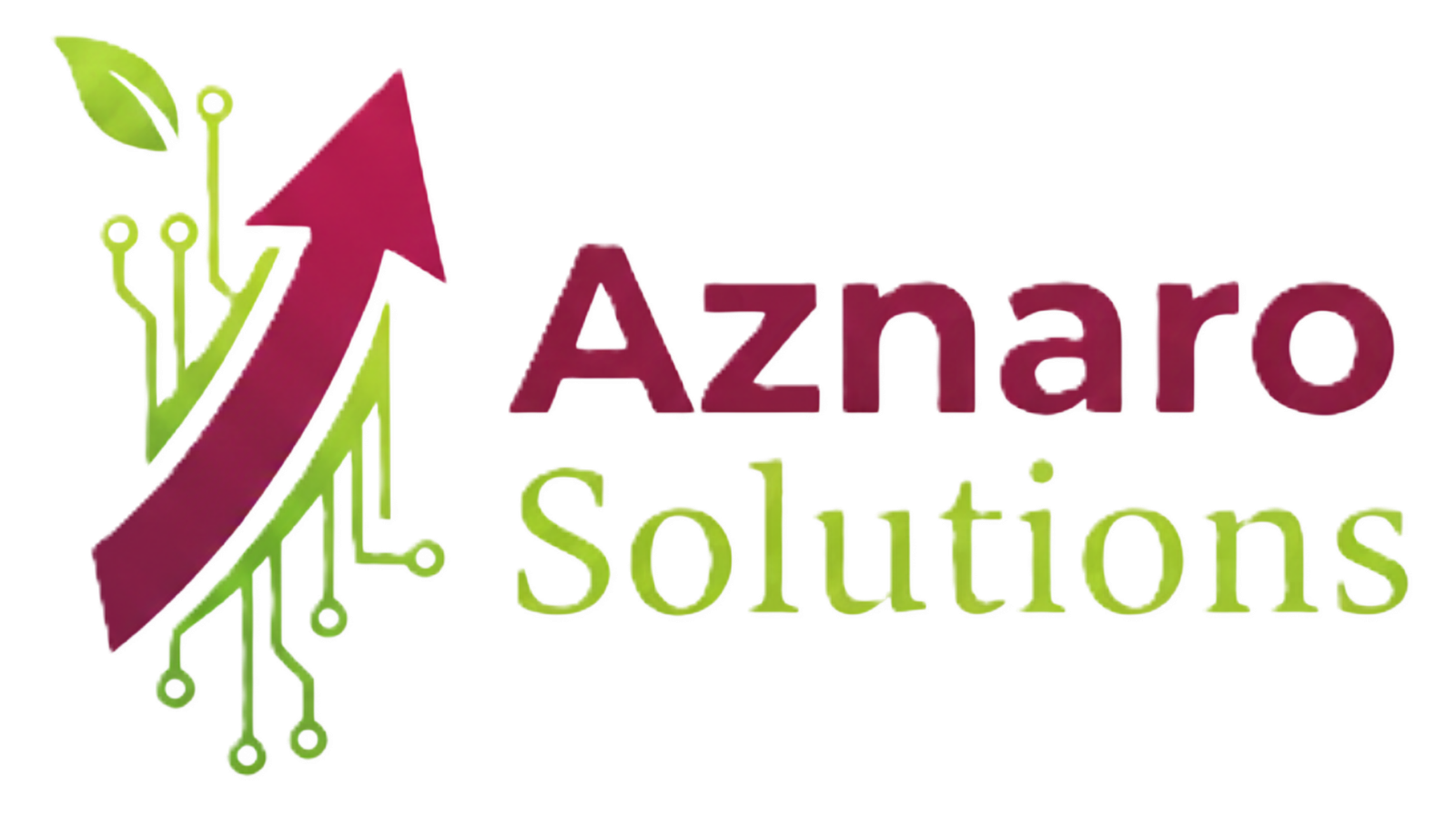 aznarosolutions.com